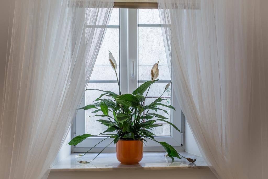 Charming Apartment Tanja Zagreb Chambre photo